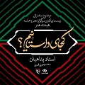  عکس پناهیان